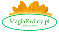 Magia Kwiaty